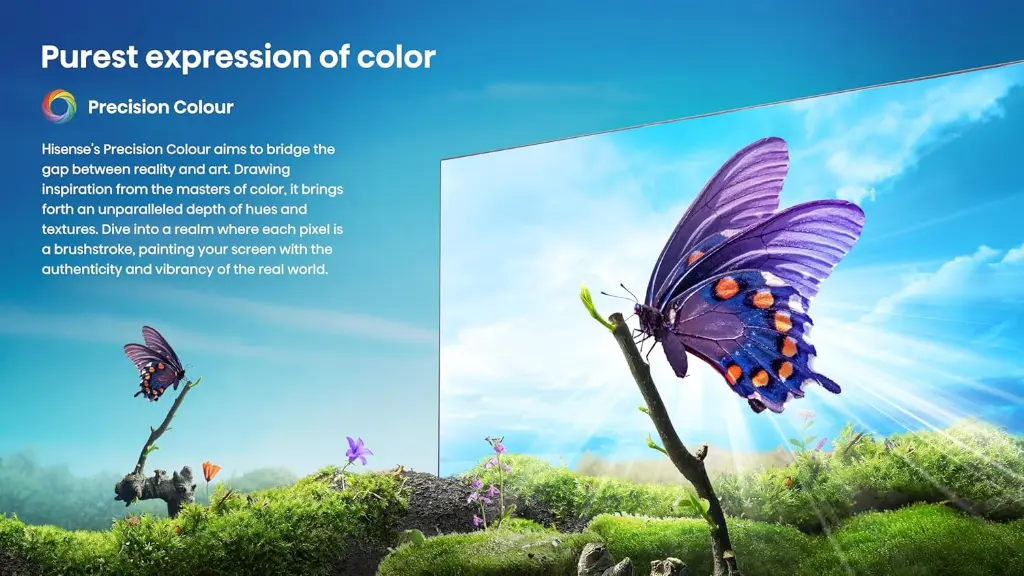 8185Ms08w4L._AC_SL1500_.webp